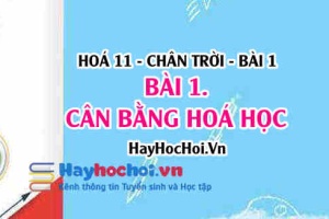 Cân bằng hoá học là gì, hằng số cân bằng của phản ứng và sự dịch chuyển của cân bằng? Hoá 11 chân trời bài 1